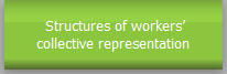 Strucures of workers' collective representation
